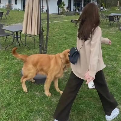 红花之歌